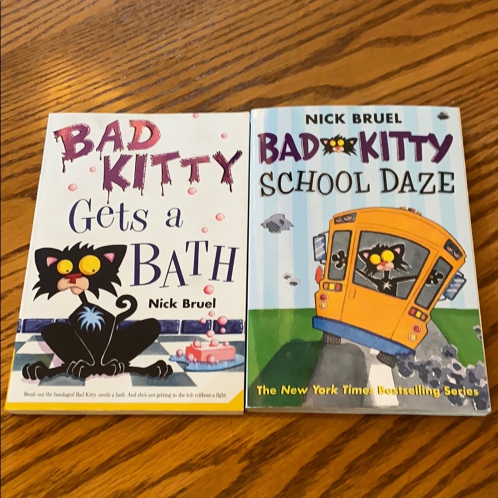 2 youth chapter books